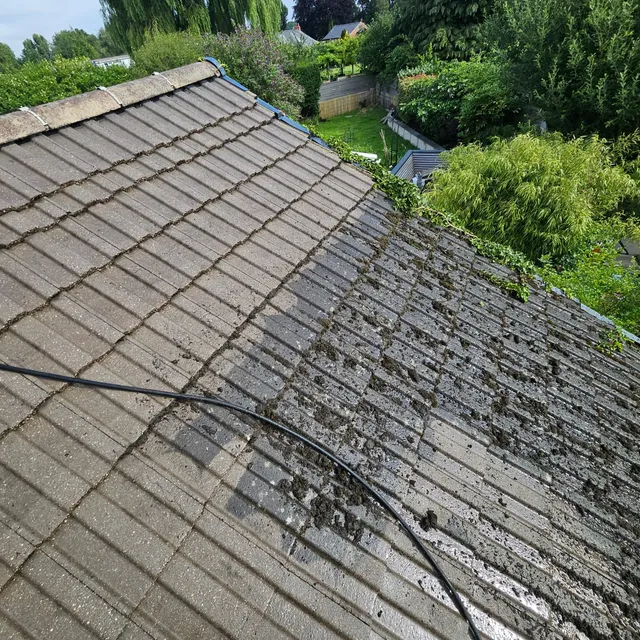 Țiglă de beton curățată de mușchi și licheni, în contrast cu zona necurățată