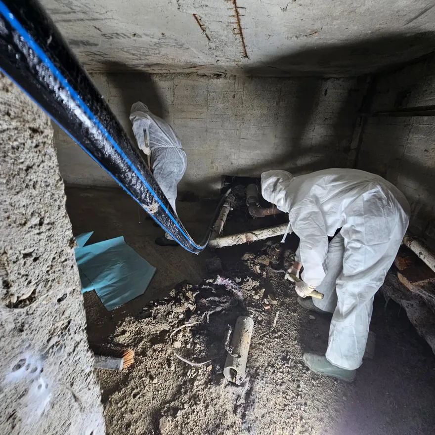 Echipa NCC Services în echipament de protecție, igienizând subsolul unui bloc