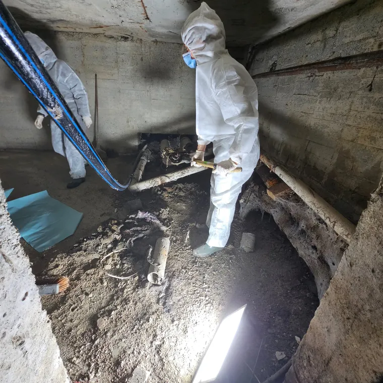 Operatori în combinezoane de protecție curățând un subsol de bloc cu depuneri și moloz