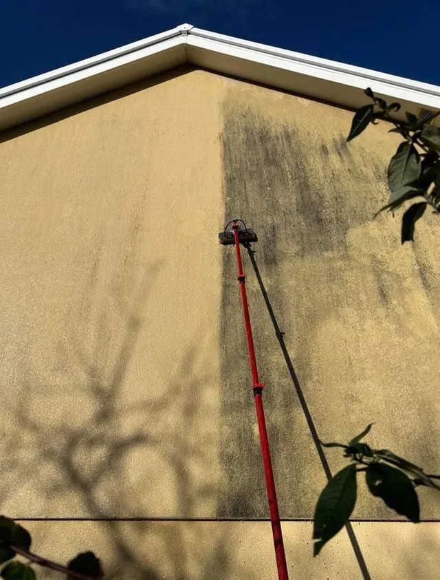 Spălare soft wash a unei fațade — jumătate curățată, jumătate murdară